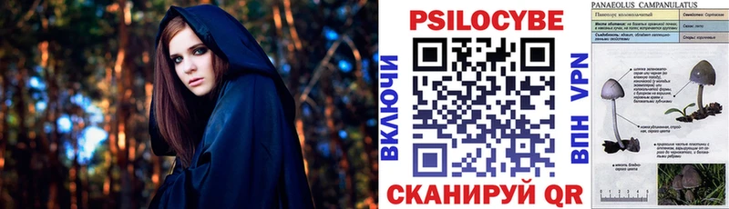 blacksprut зеркало  Белоярский  Псилоцибиновые грибы мухоморы 